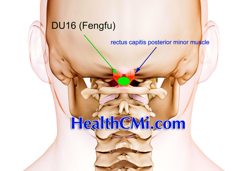 Acupuncture Poststroke Recovery Results